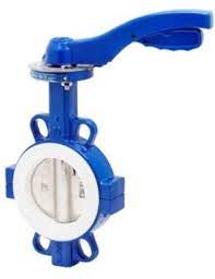 butterfly valve 2101 09